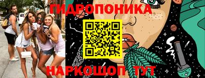 прущие крисы Кандалакша