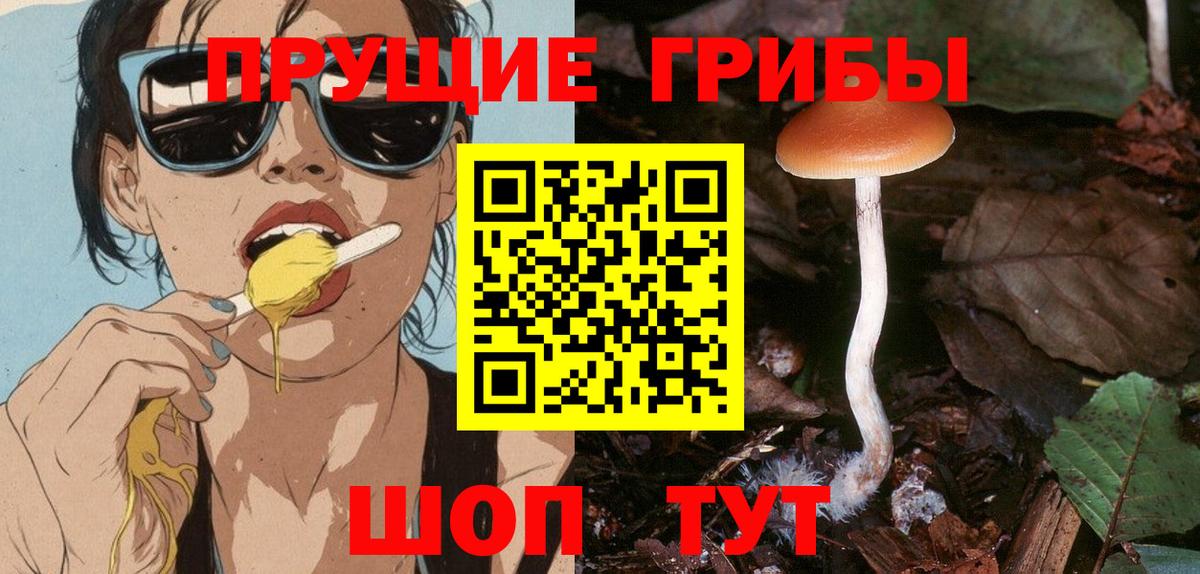 где можно купить наркотик  Вход с VPN  Галлюциногенные грибы Psilocybe  Лениногорск  Псилоцибиновые грибы ЛСД 