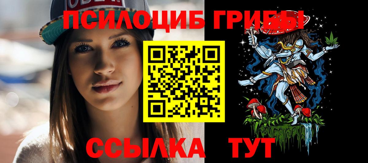Галлюциногенные грибы Psilocybe Лениногорск